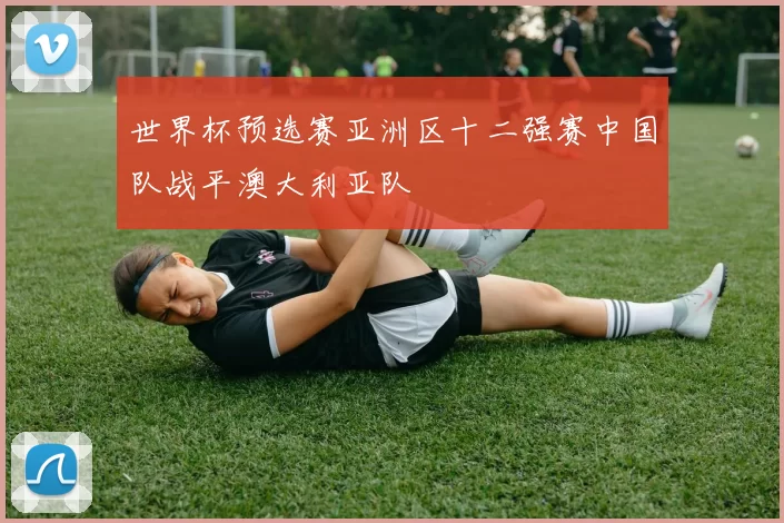 世界杯预选赛亚洲区十二强赛中国队战平澳大利亚队
